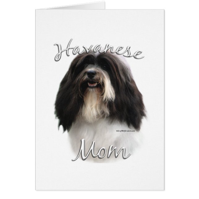 Havanese Mom 2 (Front)