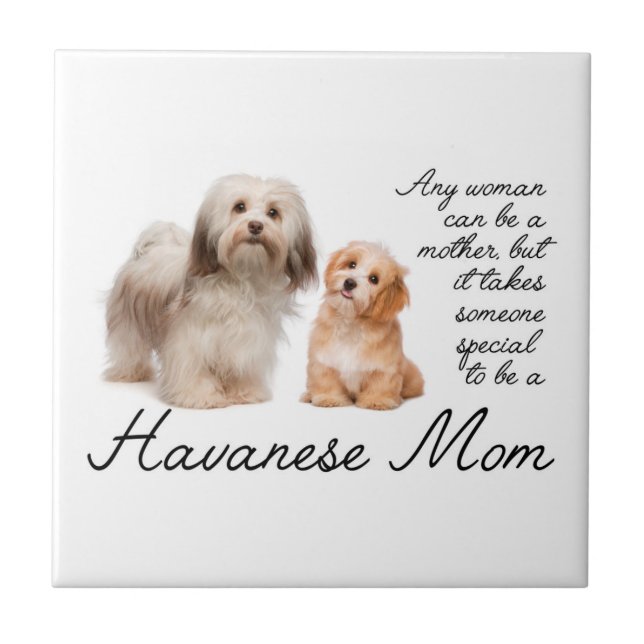 Havanese Mom Ceramic Tile (Front)