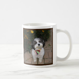 Havanese Mug with Flowers