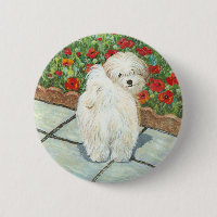 Havanese n Poppies Art Print Gifts & Cards