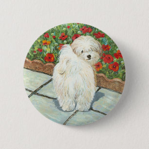 Havanese n Poppies Art Print Gifts & Cards 2 Inch Round Button