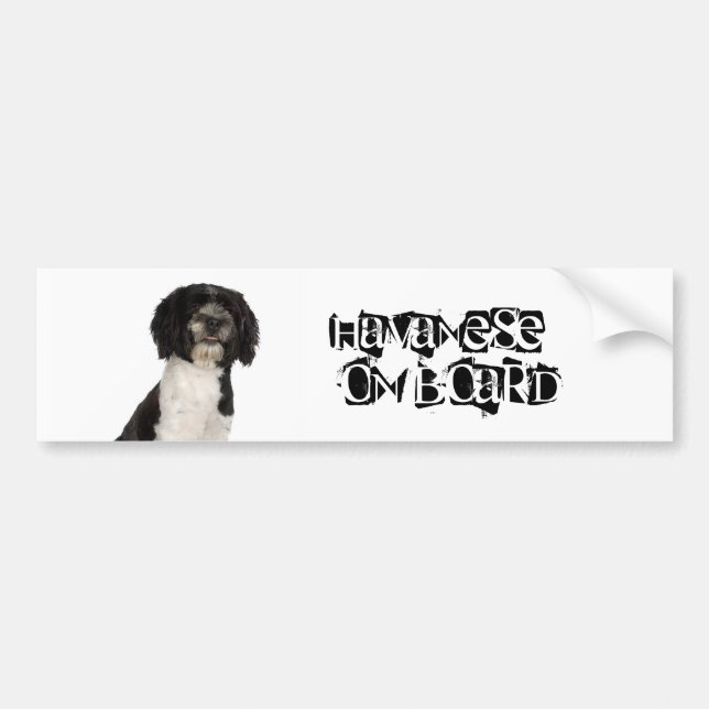 Havanese on Board Bumper Sticker (Front)