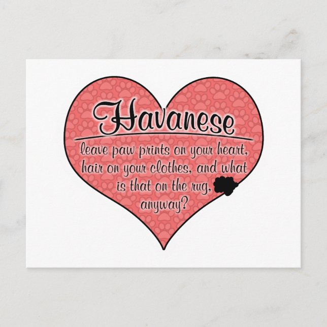 Havanese Paw Prints Dog Humour Postcard (Front)