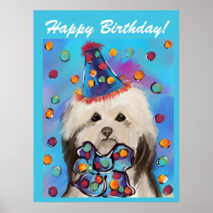 HAVANESE    POSTER