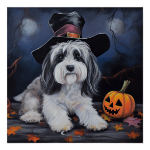 Havanese Pumpkins Halloween Scary Poster