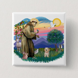 Havanese Pup 2 Inch Square Button
