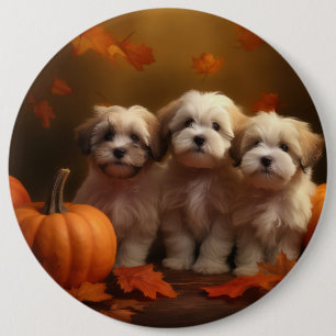 Havanese Puppy Autumn Delight Pumpkin 6 Inch Round Button