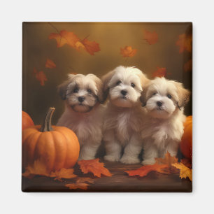 Havanese Puppy Autumn Delight Pumpkin Magnet