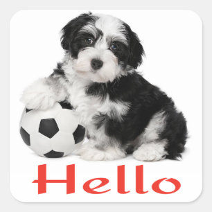 Havanese Puppy Dog Hello Stickers Seal