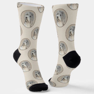 Havanese Puppy, havanese, Cuban Bichon, Bichon Hav Socks