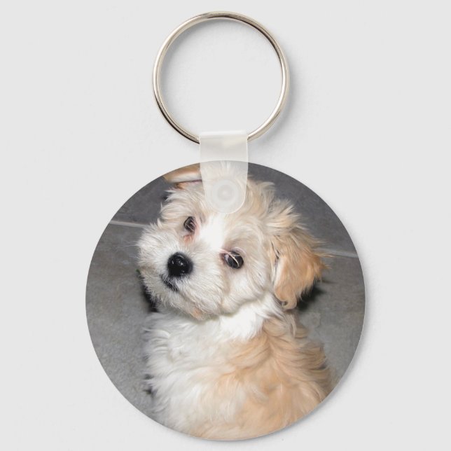Havanese Puppy Keychain (Front)