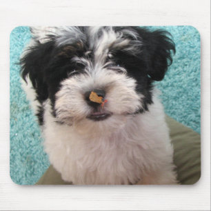 Havanese Puppy Mouse Pad