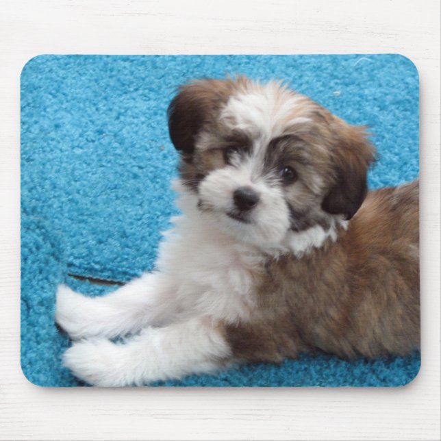 Havanese Puppy Mouse Pad (Front)