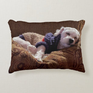 Havanese Puppy Napping - Throw Pillow