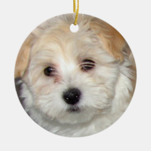 Havanese Puppy Ornament