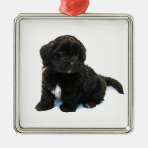 ***Havanese Puppy*** Ornament