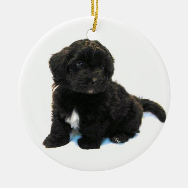 Havanese Puppy Ornament (Front)