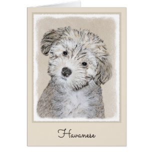 Havanese Puppy Painting - Cute Original Dog Art