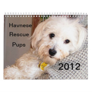 havanese rescue california puppy calendars puppy calendar havanese rescue california puppy calendars puppy calendar
