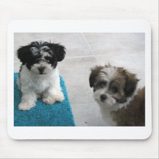 Havanese Rescue Puppies Black White Grey Mouse Pad