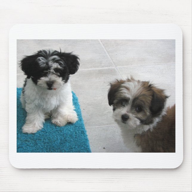Havanese Rescue Puppies Black White Grey Mouse Pad (Front)