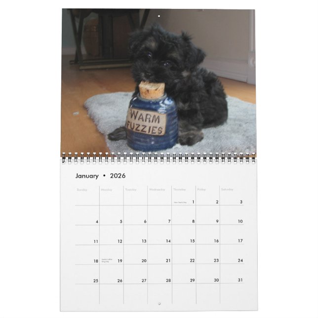 Havanese Rescue Puppies Calendar 2012 (Jan 2026)