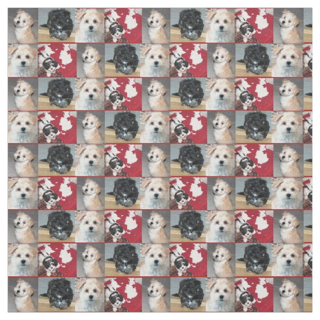Havanese Rescue Puppies Fabric (Swatch)