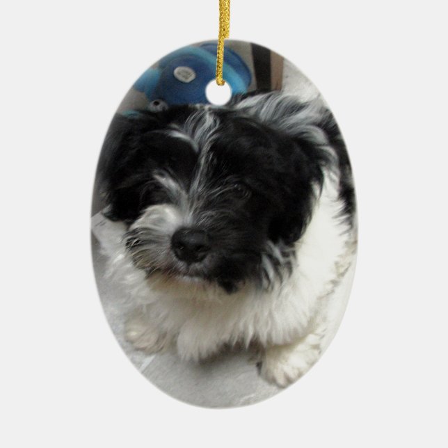 Havanese Rescue Puppy black and white Ceramic Ornament (Front)