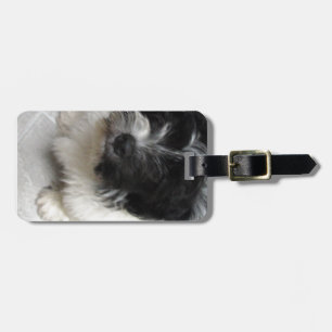 Havanese Rescue Puppy black and white Luggage Tag