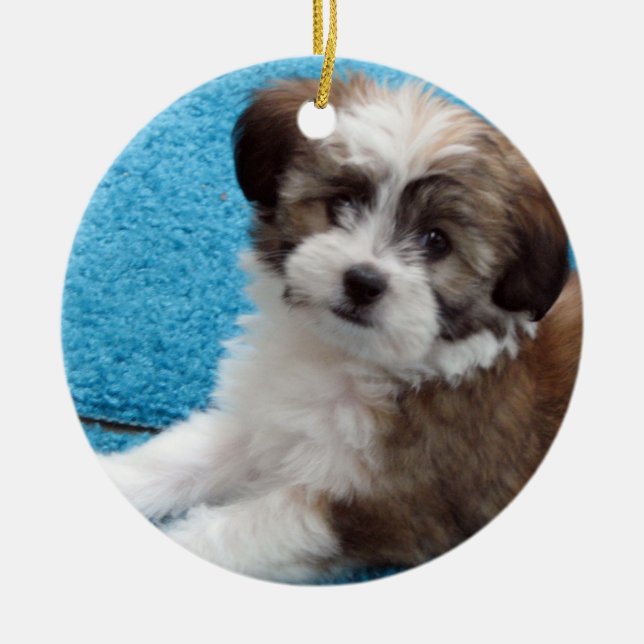 Havanese Rescue Puppy Ceramic Ornament (Front)