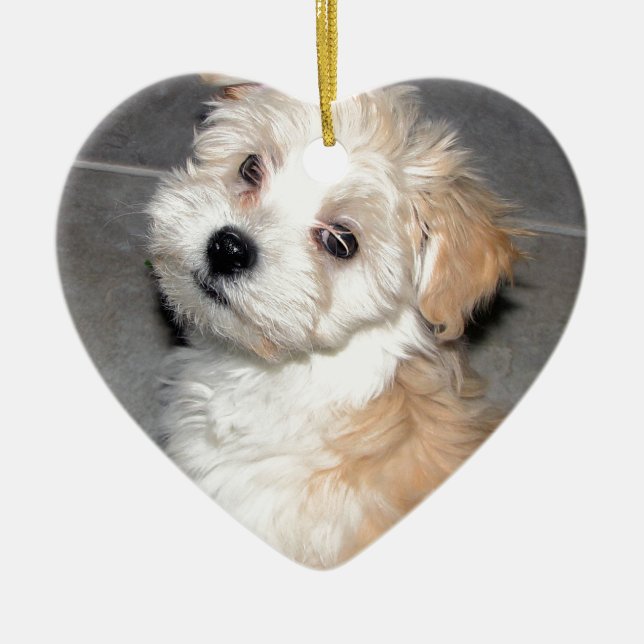 Havanese Rescue puppy tan white Ceramic Ornament (Front)