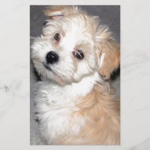 Havanese Rescue puppy tan white Stationery