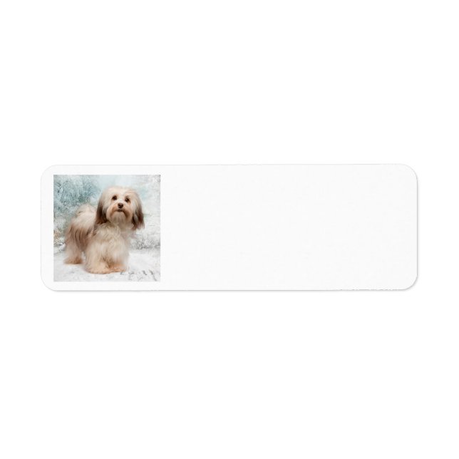 Havanese Return Address Label (Front)