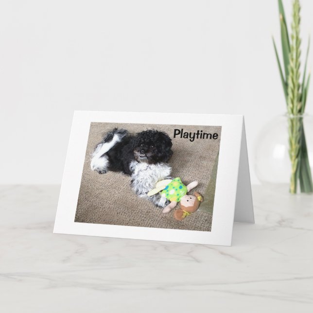 HAVANESE SAYS WISH I COULD PLAY WITH U ON BIRTHDAY CARD (Front)