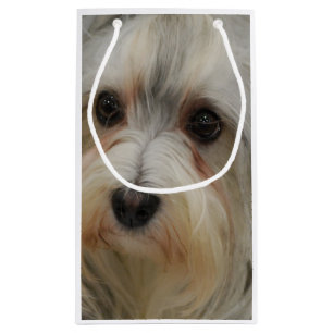 Havanese Small Gift Bag
