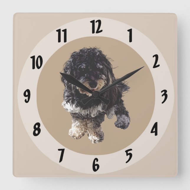 Havanese Square Wall Clock (Front)