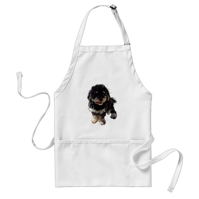 Havanese Standard Apron (Front)