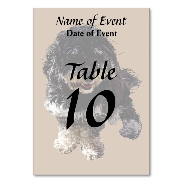 Havanese Table Number (Back)