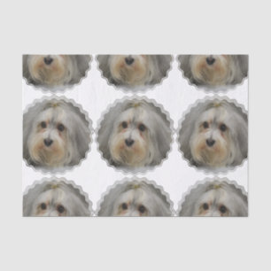 Havanese Tissue Paper