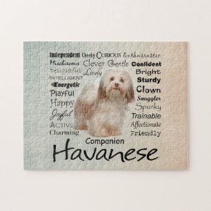 Havanese Traits Jigsaw Puzzle