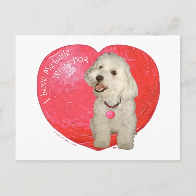 Havanese Valentine's Day Holiday Postcard (Front)
