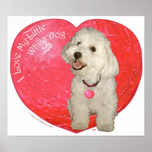 Havanese Valentine's Day Poster (Front)
