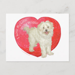 Havanese / Westie Mix Valentine's Day Holiday Postcard