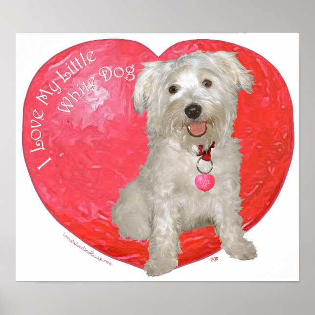 Havanese / Westie Mix Valentine's Day Poster (Front)