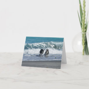 Have a Ball BD 1 Card