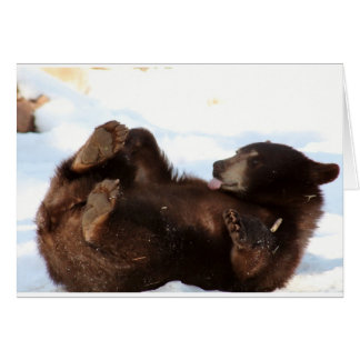 Have a BEARY Good Day!!!