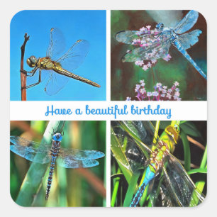 Have A beautiful Birthday Artistic Dragonfly Square Sticker