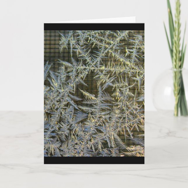 Have A Beautiful Day Any Occasion Card (Front)