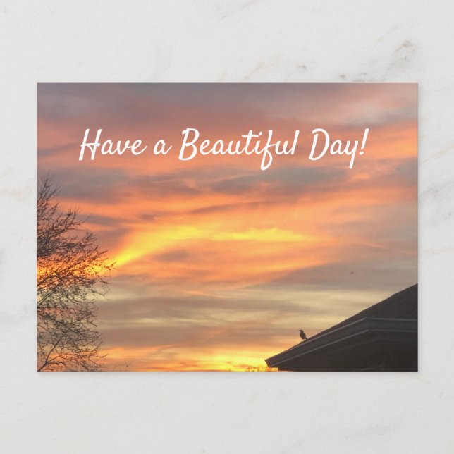 Have a Beautiful Day Horizon Postcard (Front)