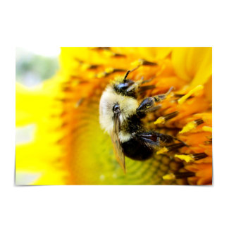 Have a BEEutiful Day Bumblebee Sunflower Card